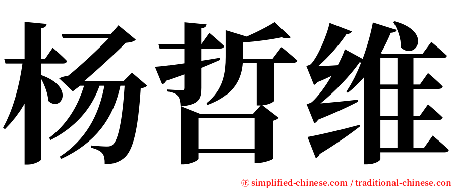 杨哲维 serif font