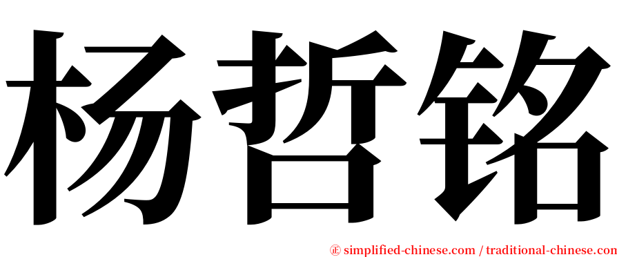 杨哲铭 serif font