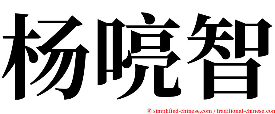 杨喨智 serif font