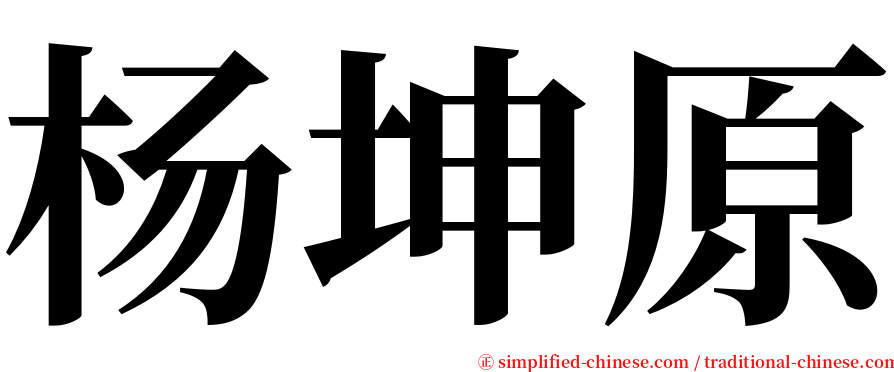 杨坤原 serif font
