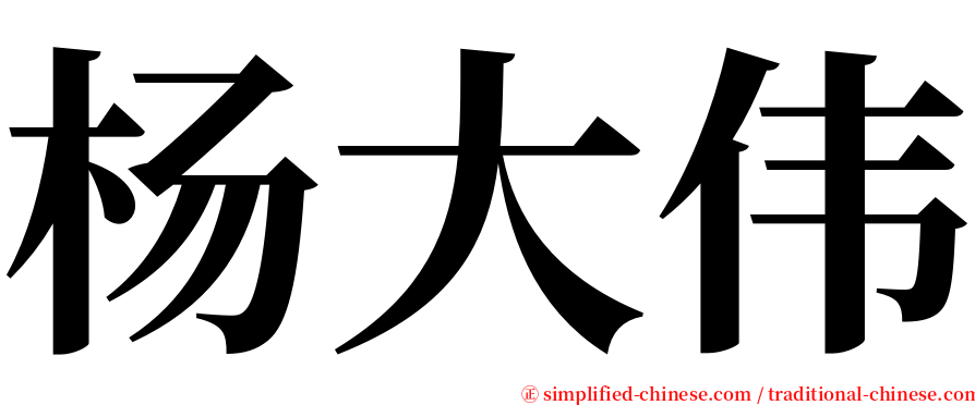 杨大伟 serif font