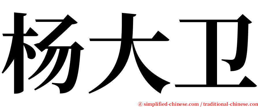 杨大卫 serif font