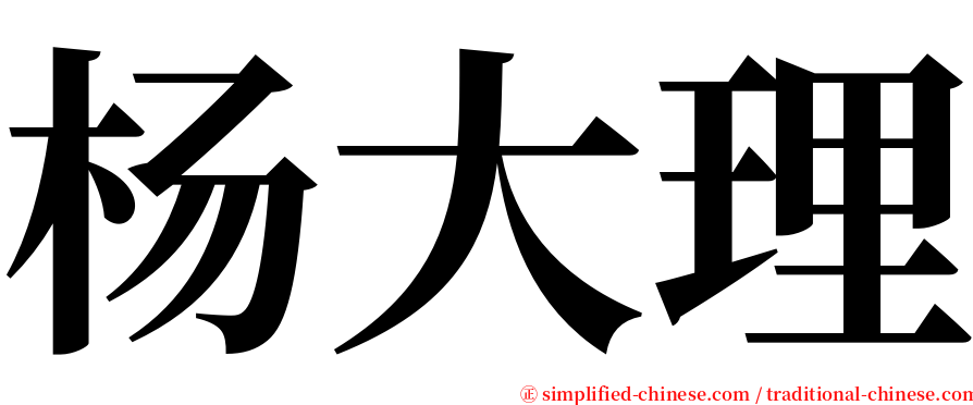 杨大理 serif font