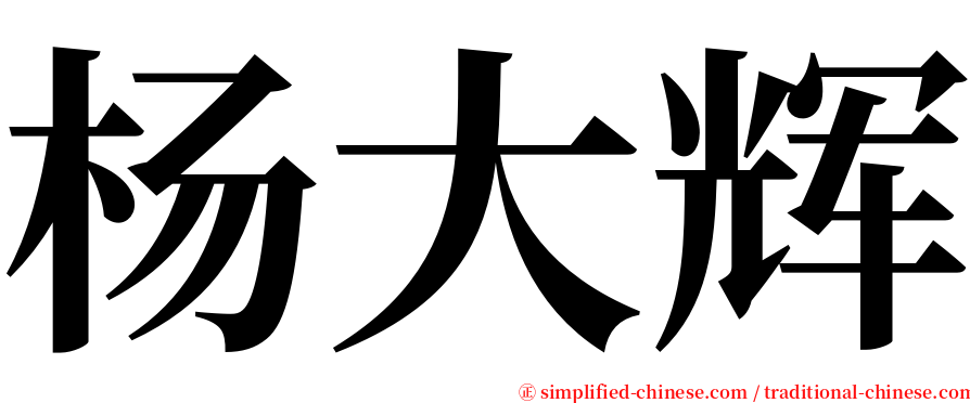 杨大辉 serif font