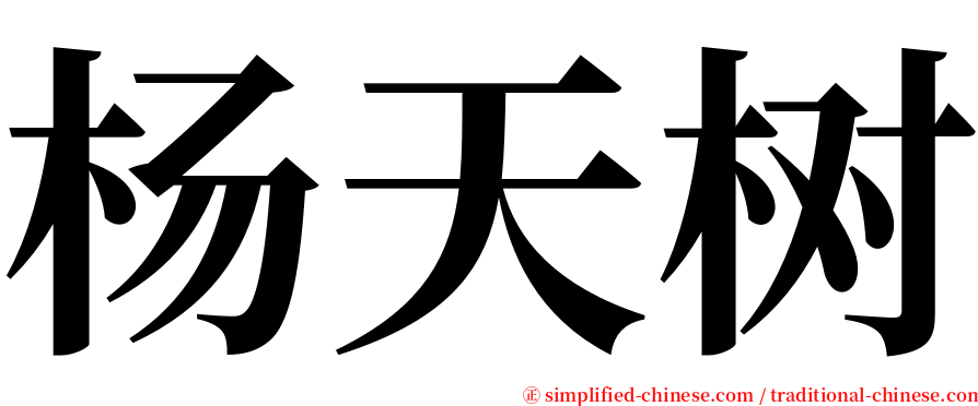 杨天树 serif font