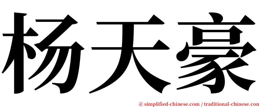 杨天豪 serif font