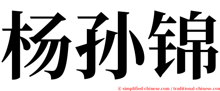 杨孙锦 serif font