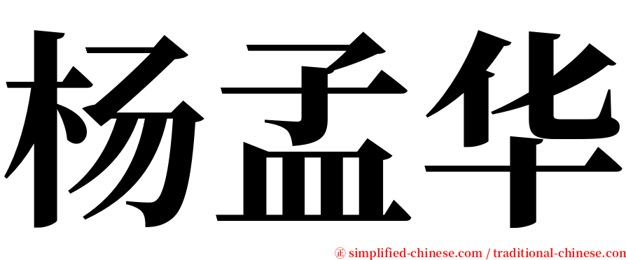 杨孟华 serif font