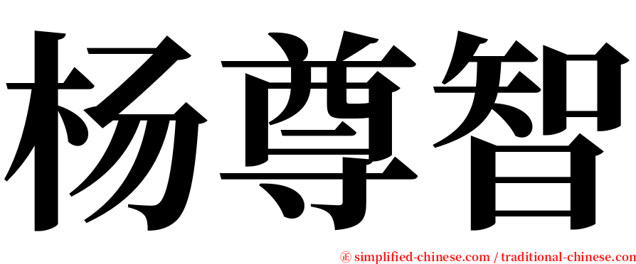 杨尊智 serif font