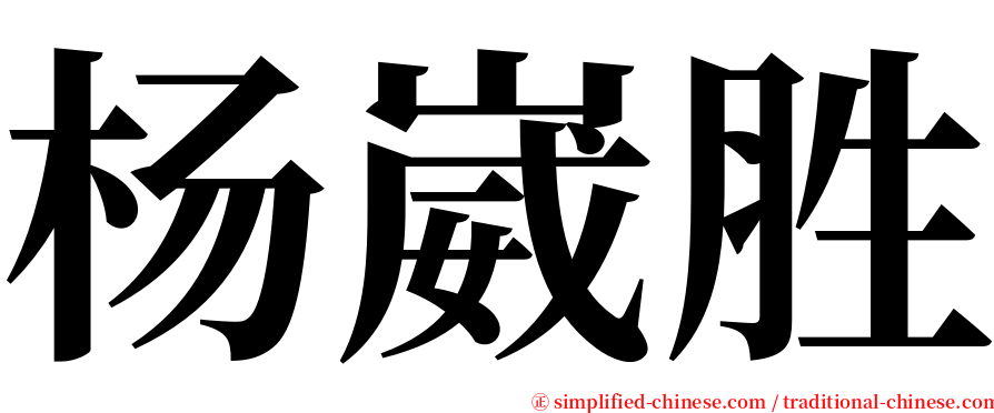 杨崴胜 serif font