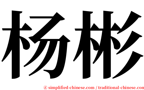 杨彬 serif font