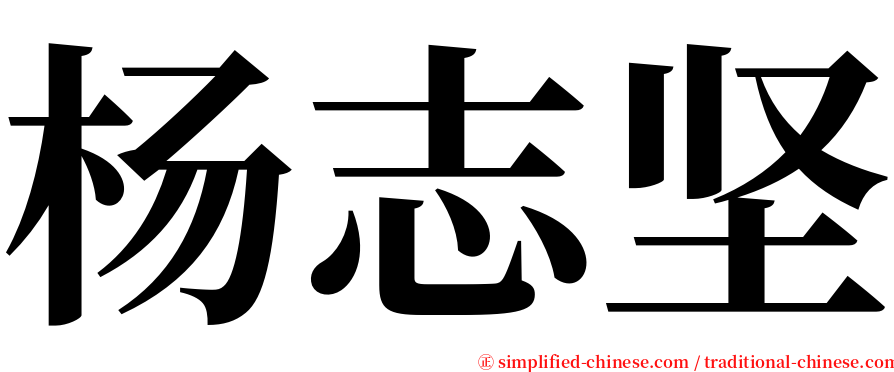 杨志坚 serif font