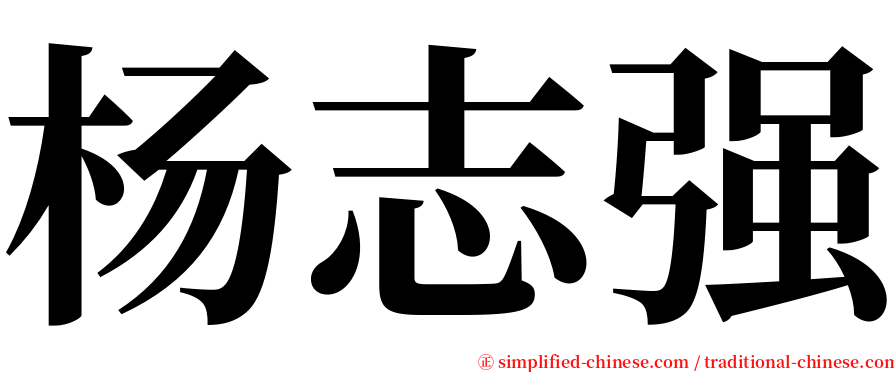 杨志强 serif font