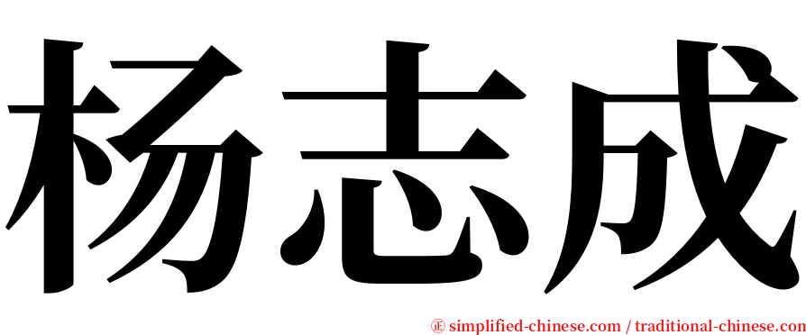 杨志成 serif font