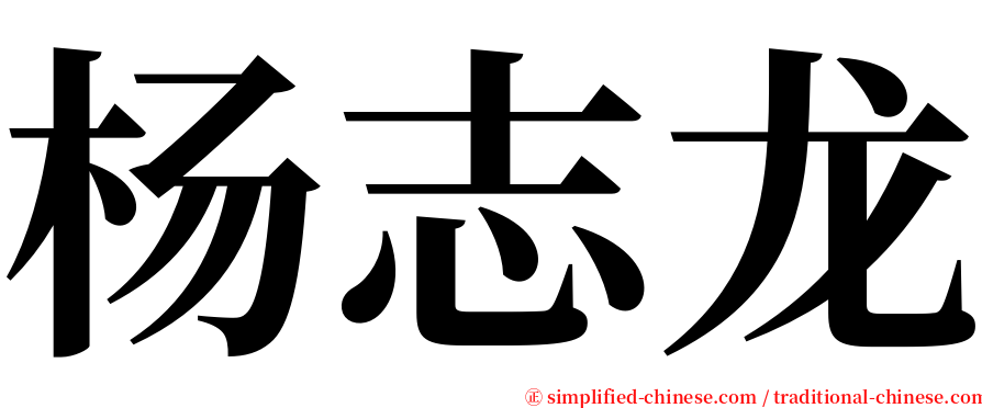 杨志龙 serif font