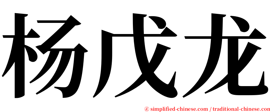 杨戊龙 serif font