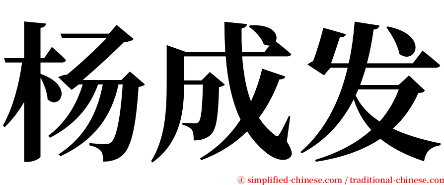 杨成发 serif font