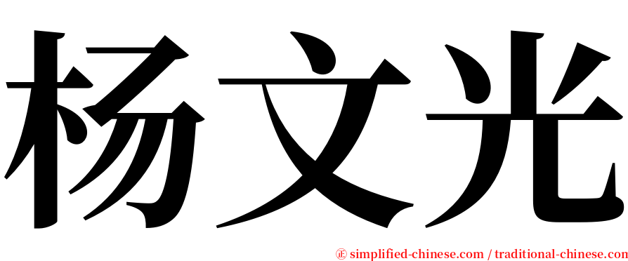 杨文光 serif font