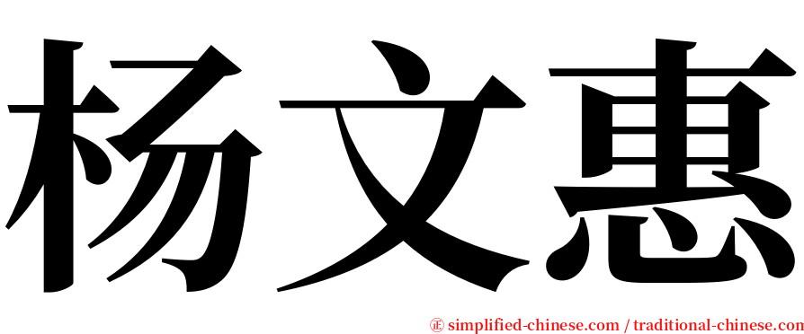 杨文惠 serif font