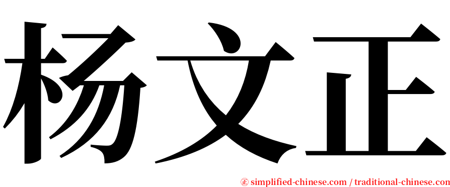 杨文正 serif font