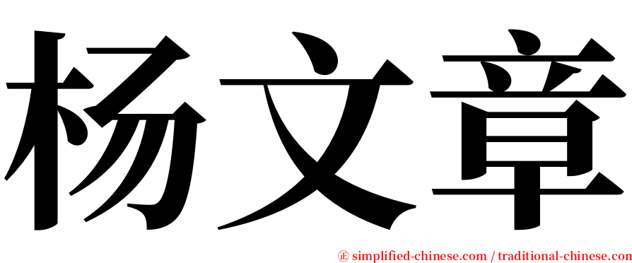 杨文章 serif font