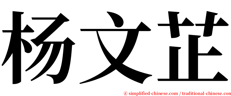 杨文芷 serif font