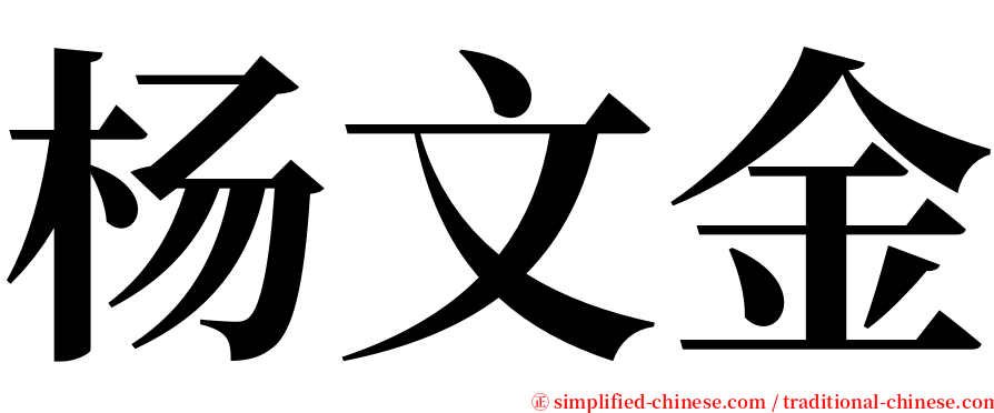 杨文金 serif font
