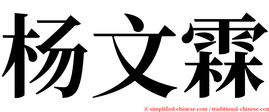 杨文霖 serif font