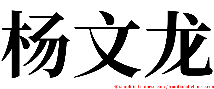 杨文龙 serif font