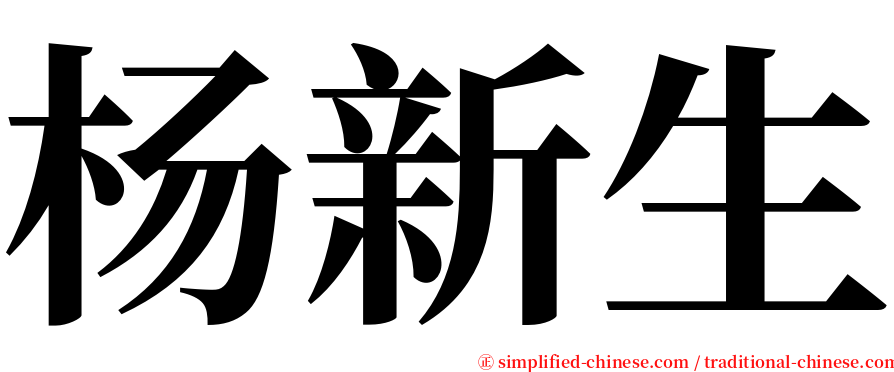 杨新生 serif font