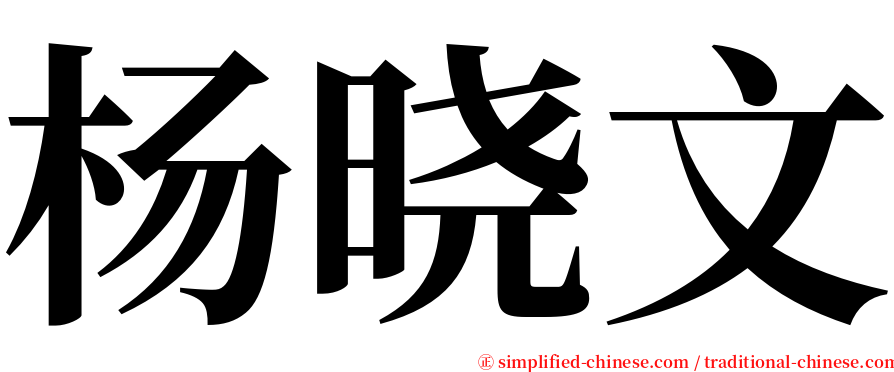 杨晓文 serif font