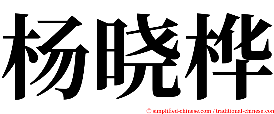 杨晓桦 serif font