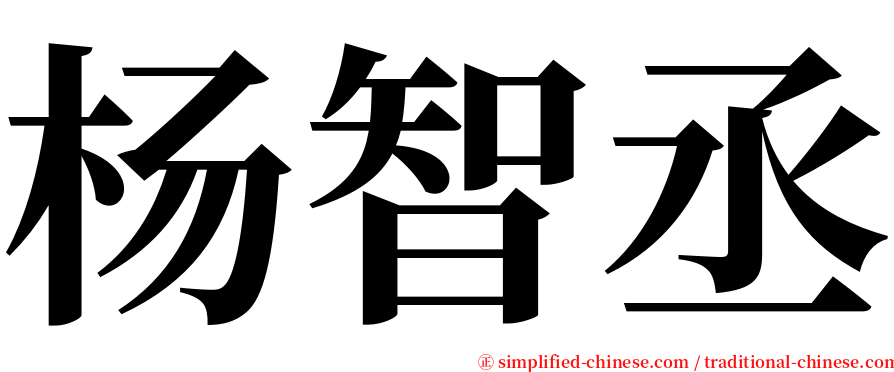 杨智丞 serif font