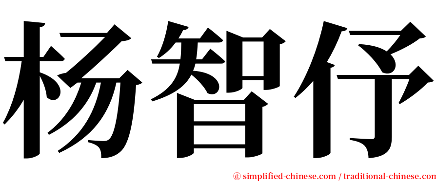 杨智伃 serif font