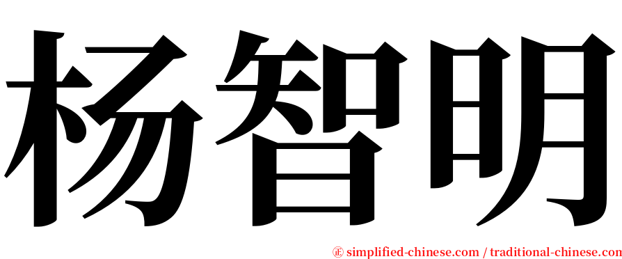 杨智明 serif font