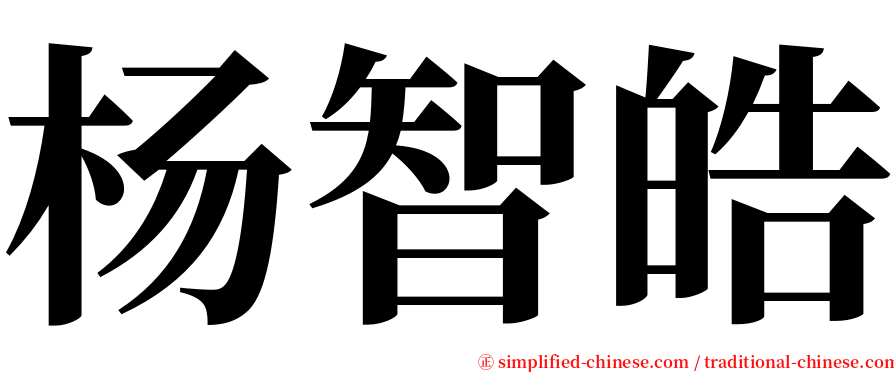 杨智皓 serif font
