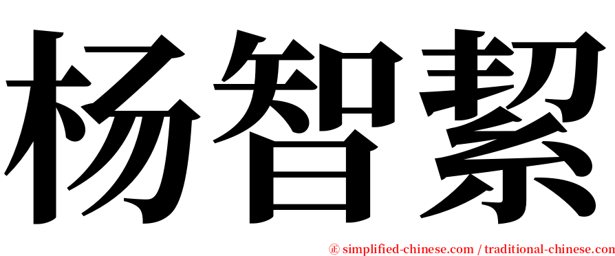 杨智絜 serif font