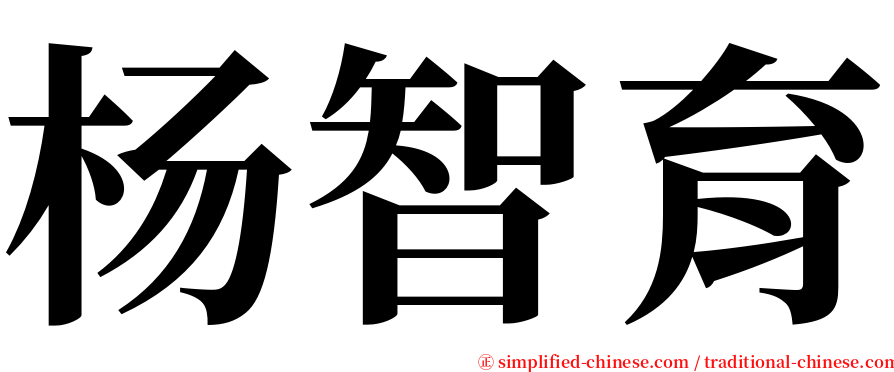 杨智育 serif font