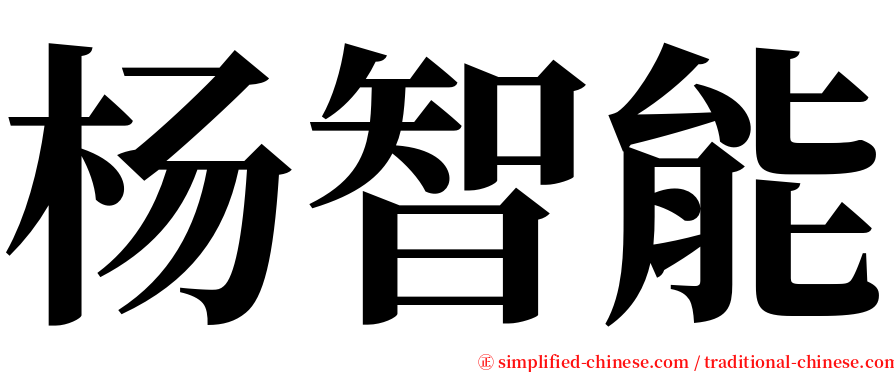 杨智能 serif font