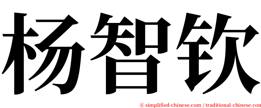 杨智钦 serif font