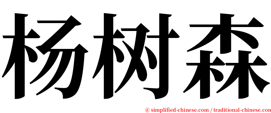 杨树森 serif font
