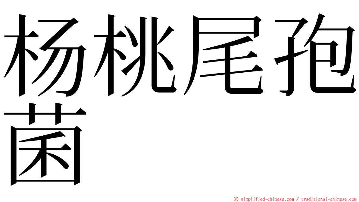 杨桃尾孢菌 ming font