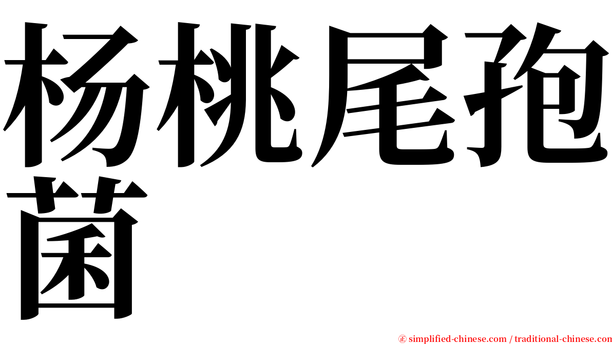 杨桃尾孢菌 serif font