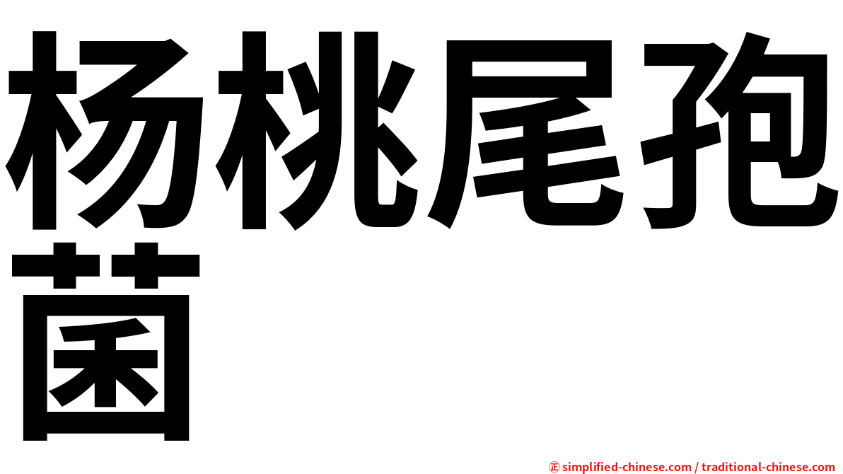 杨桃尾孢菌