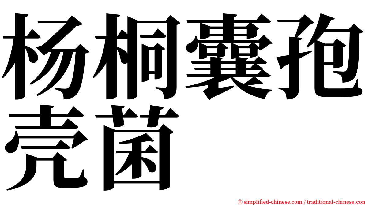 杨桐囊孢壳菌 serif font