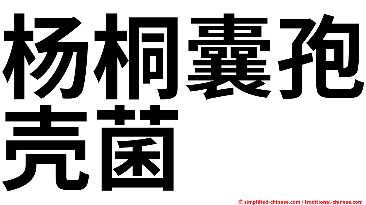杨桐囊孢壳菌