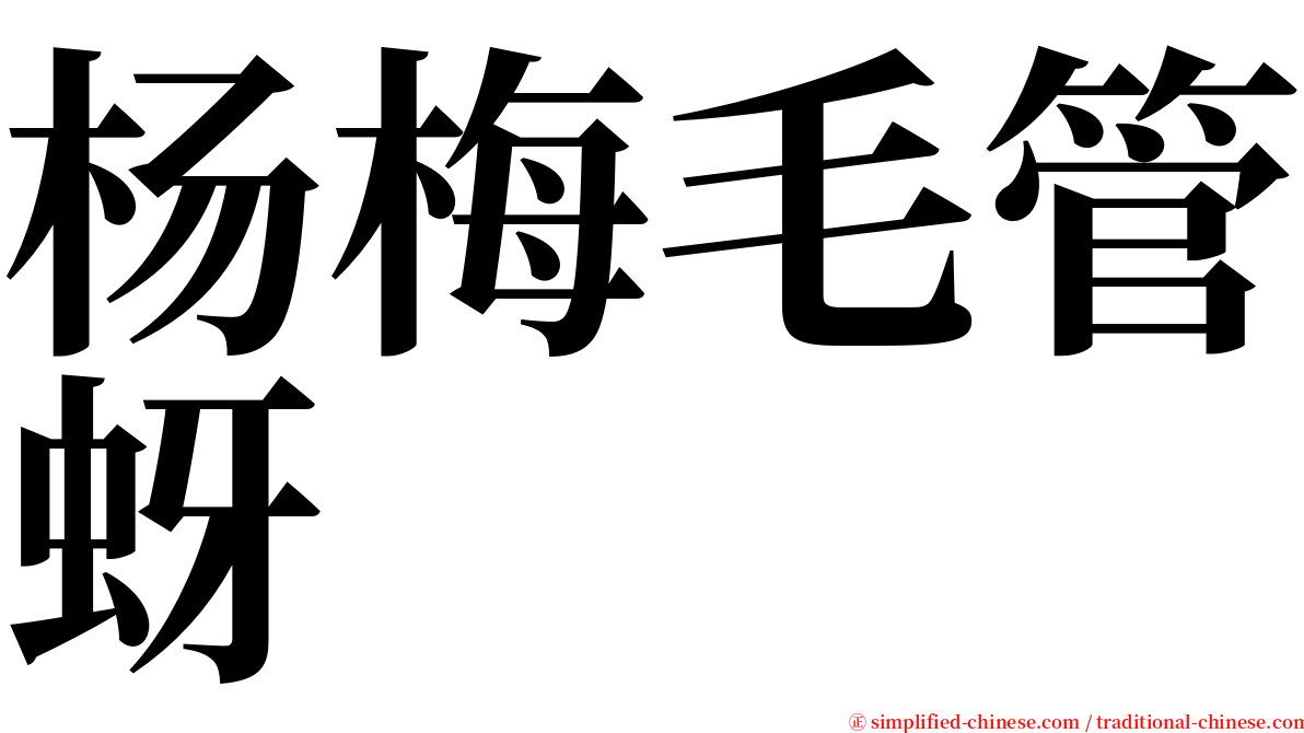 杨梅毛管蚜 serif font