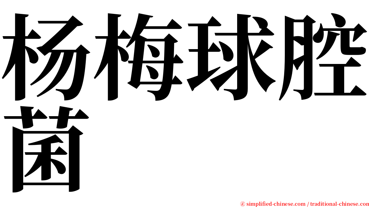 杨梅球腔菌 serif font