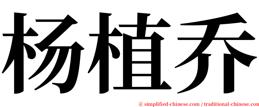 杨植乔 serif font