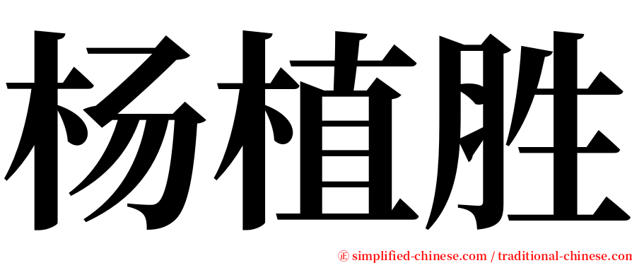 杨植胜 serif font